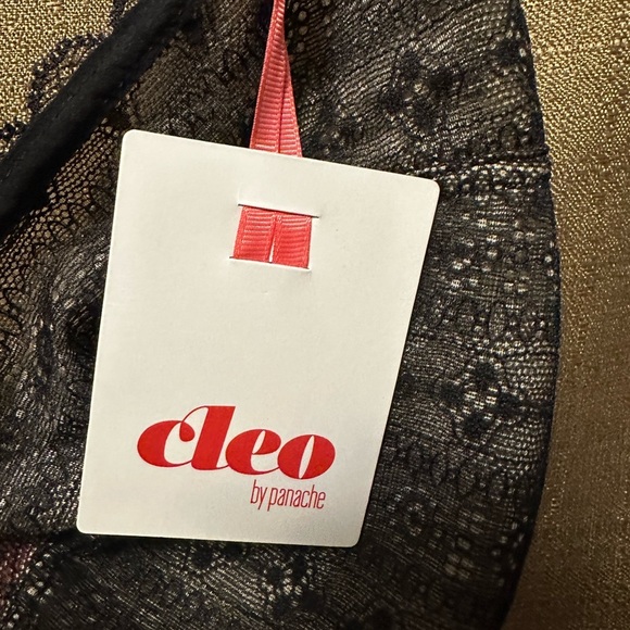 NWT Cleo by Panache Women's Lyzy Triangle Non-Wire Bra Size 34F - Picture 3 of 5